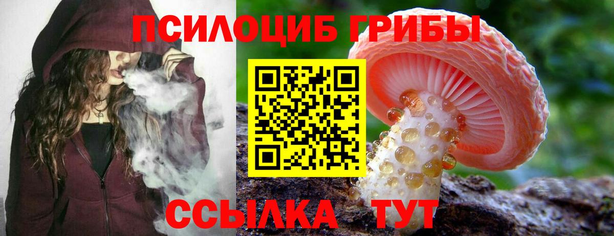 Галлюциногенные грибы GOLDEN TEACHER  Псилоцибиновые грибы Psilocybine cubensis  Вход с VPN  Гатчина 